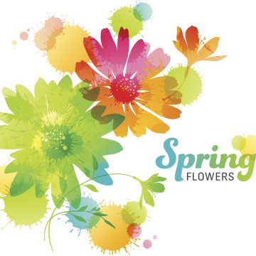 Special Upgrade für Neukunden